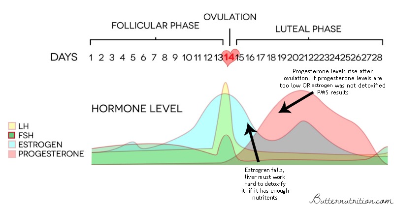 What are the side effects of high estrogen levels?